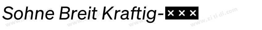 Sohne Breit Kraftig字体转换 Sohne Breit Kraftig字体转换